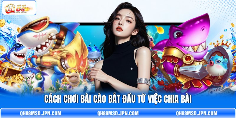 Cách chơi bài Cào bắt đầu từ việc chia bài Cách chơi bài Cào bắt đầu từ việc chia bài