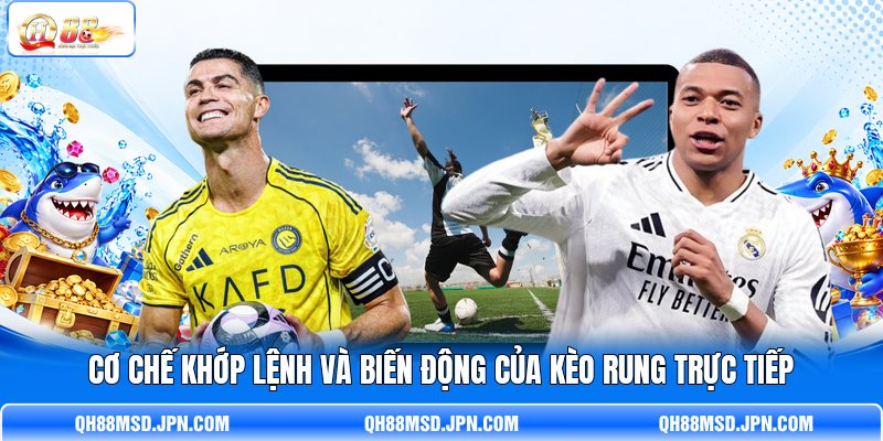 Cơ chế khớp lệnh và biến động của kèo rung trực tiếp Cơ chế khớp lệnh và biến động của kèo rung trực tiếp