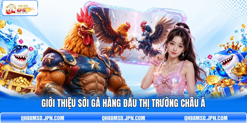 Giới thiệu sới gà hàng đầu thị trường châu Á Giới thiệu sới gà hàng đầu thị trường châu Á