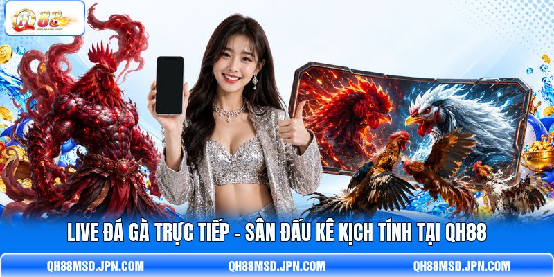 Live Đá Gà Trực Tiếp - Sân Đấu Kê Kịch Tính Tại QH88
