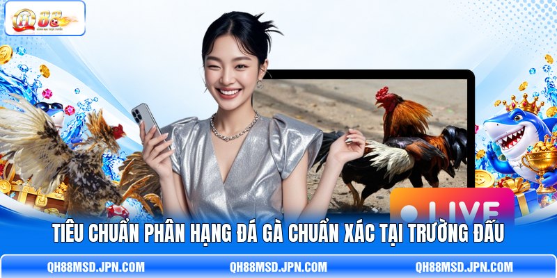 Tiêu chuẩn phân hạng đá gà chuẩn xác tại trường đấu Tiêu chuẩn phân hạng đá gà chuẩn xác tại trường đấu